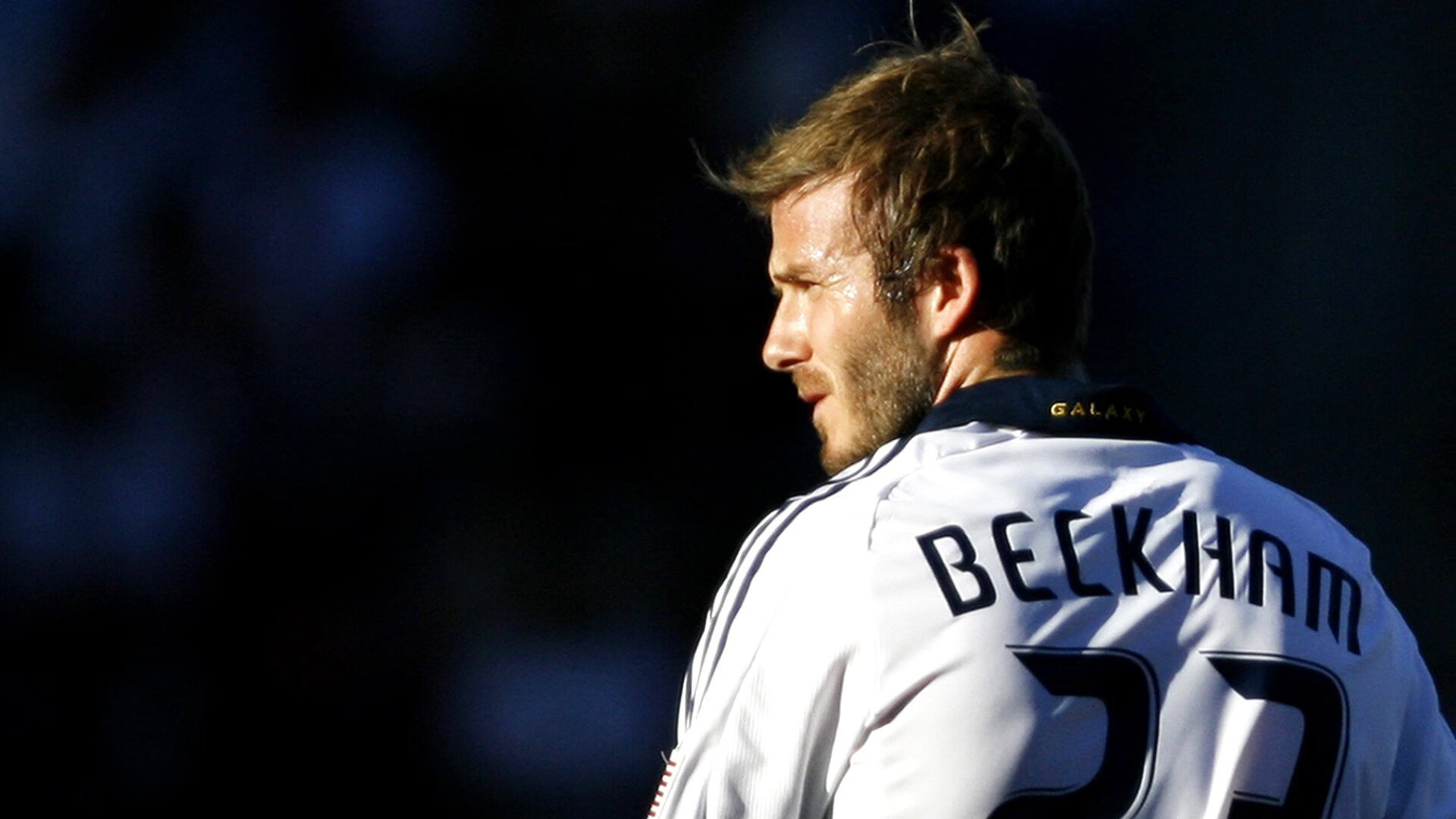 “超级粉丝”榜单：谁是真正的现场王者？，超级粉丝团集结